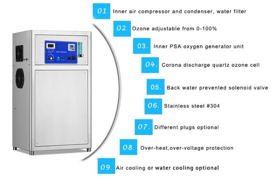 SS304 RAS Aquaculture Water Treatment Fish Farm Ozone Generator 20g