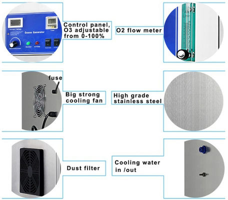 SS304 RAS Aquaculture Water Treatment Fish Farm Ozone Generator 20g